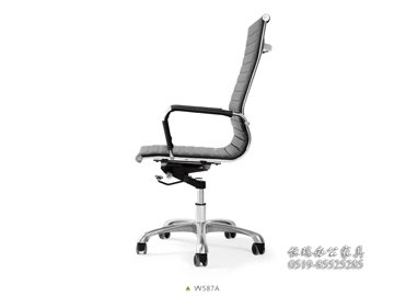 W587A